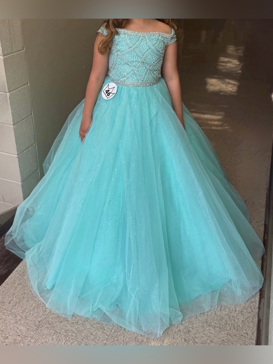 Tiffany Princess Other - Tiffany Princess Beaded Tulle Ball Gown